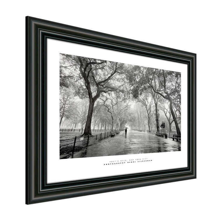 Latitude Run® Poet's Walk Framed Photograph Wayfair